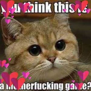 Meet your Posher, Jan